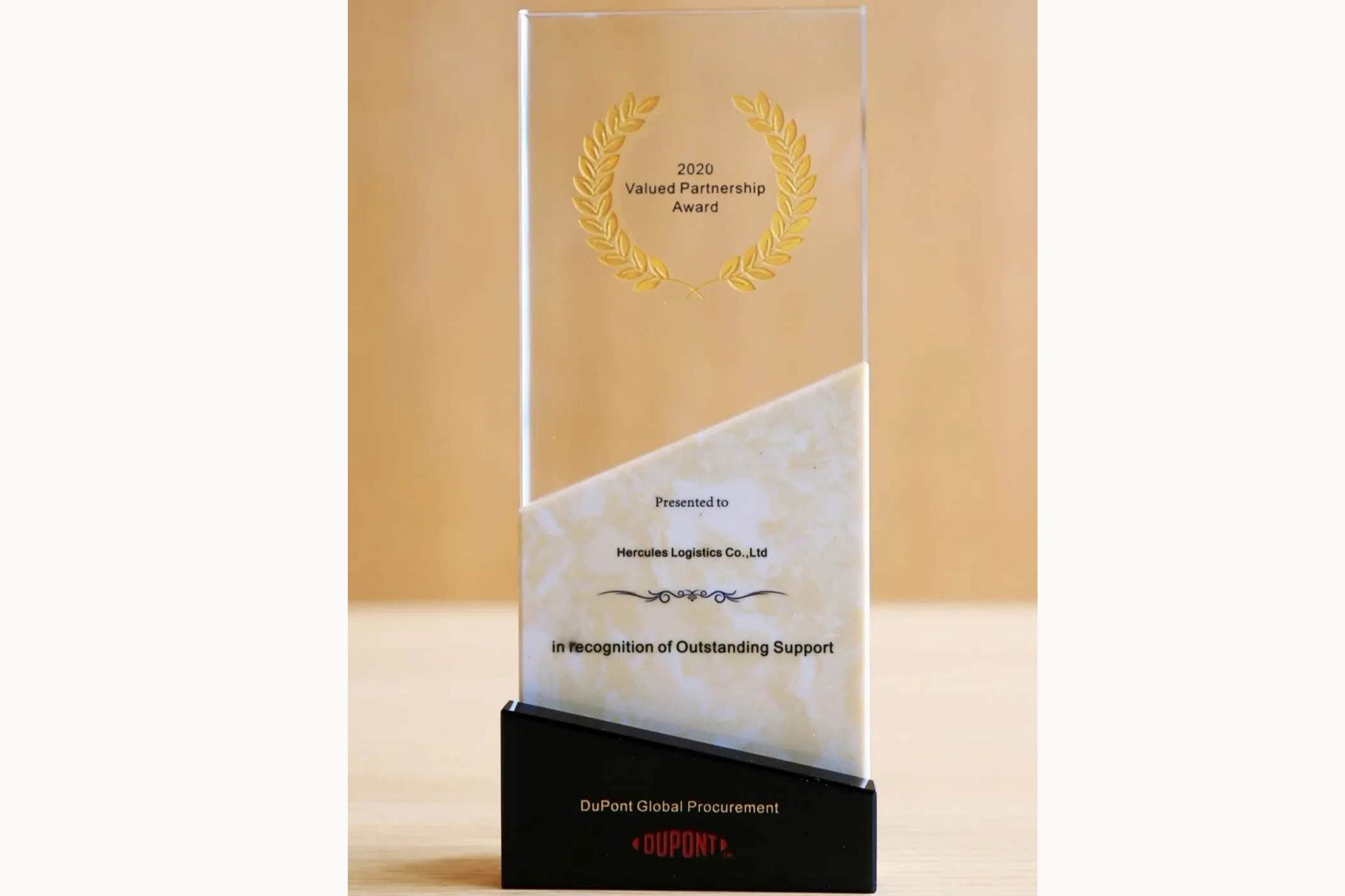 2020年杜邦 杰出价值合作伙伴奖