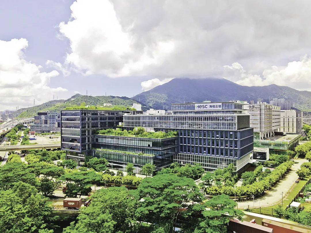 深圳口述史 | 梅春雷:创新物流服务,发展第三方供应链平台 深圳口述史 | 梅春雷:创新物流服务,发展第三方供应链平台