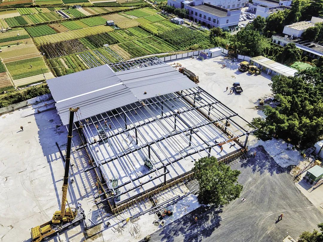 深圳口述史 | 梅春雷:创新物流服务,发展第三方供应链平台 深圳口述史 | 梅春雷:创新物流服务,发展第三方供应链平台