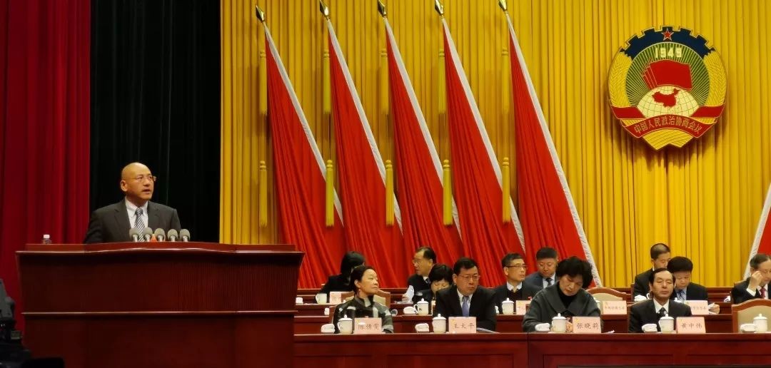 政协发声‖海格物流两位董事分别作大会发言
