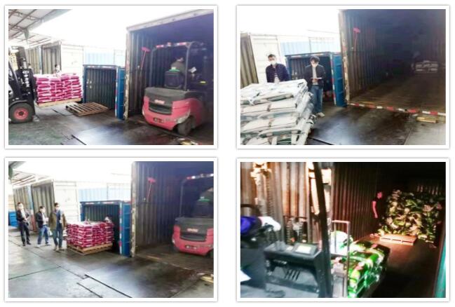 看!海格的驰援抗疫:“疫”不容辞 “供”克时艰 看!海格的驰援抗疫:“疫”不容辞 “供”克时艰