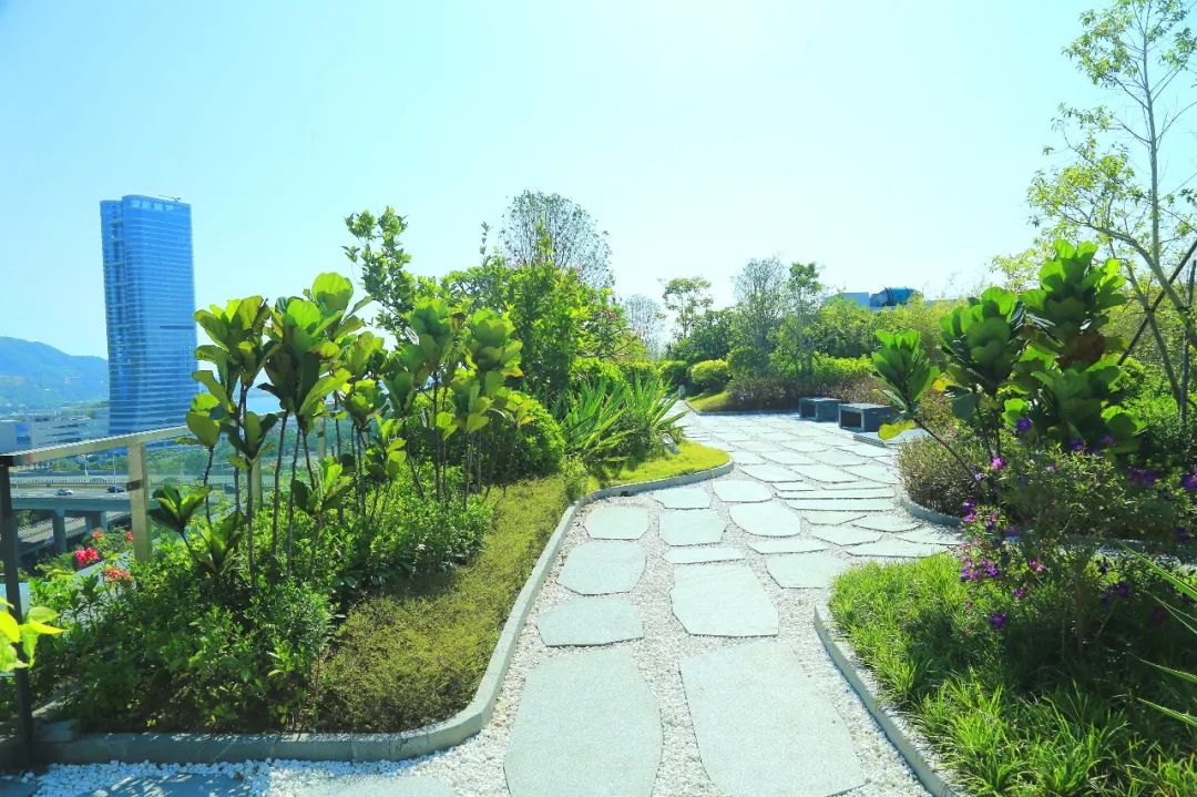 生如夏花,不负韶华,所有的美好都将如约而至! 生如夏花,不负韶华,所有的美好都将如约而至!